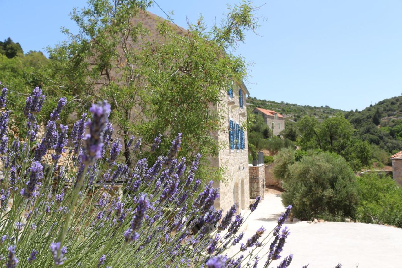 Villa Zanino Veliko Grablje Exterior foto